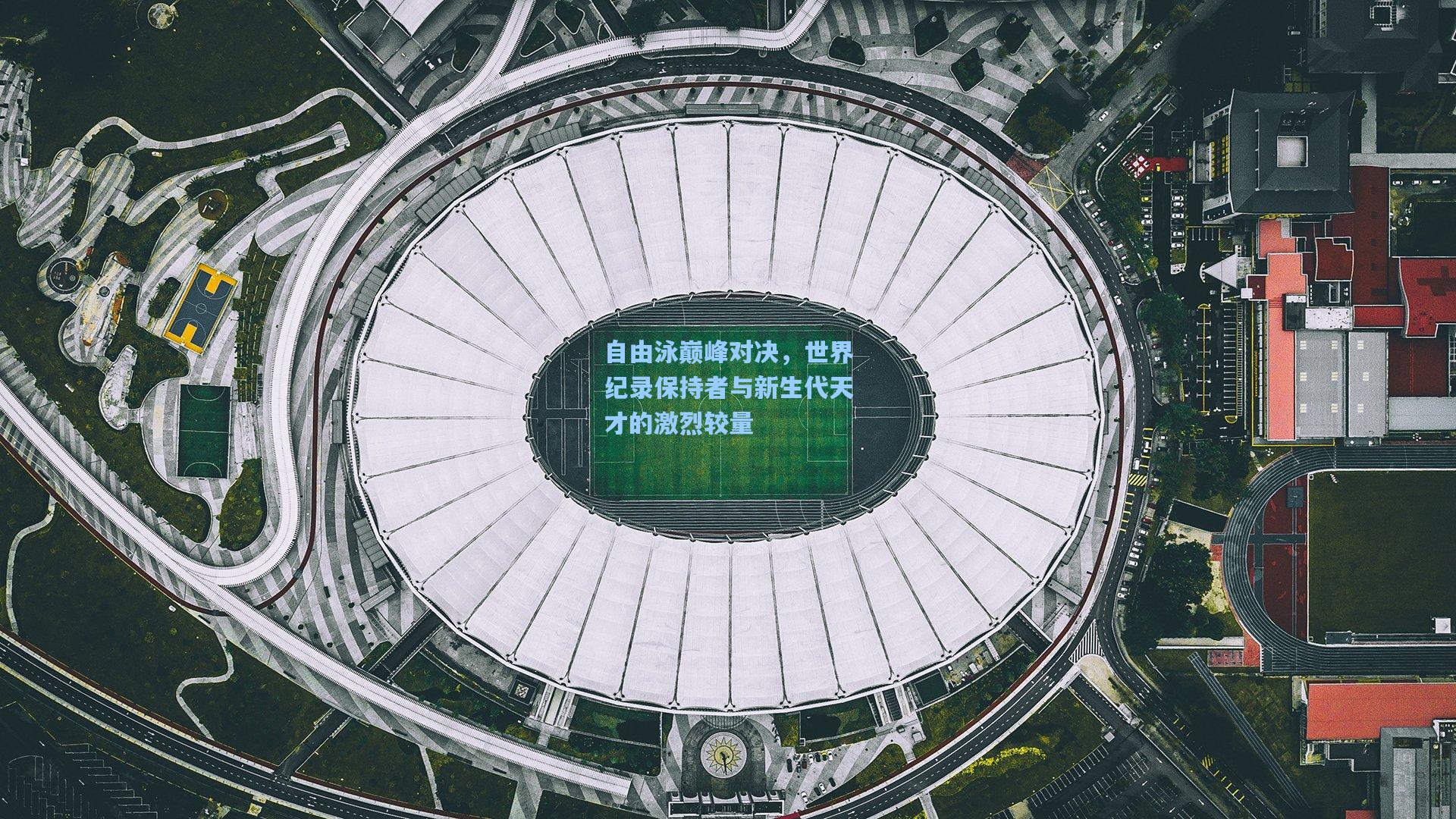 自由泳巅峰对决,世界纪录保持者与新生代天才的激烈较量