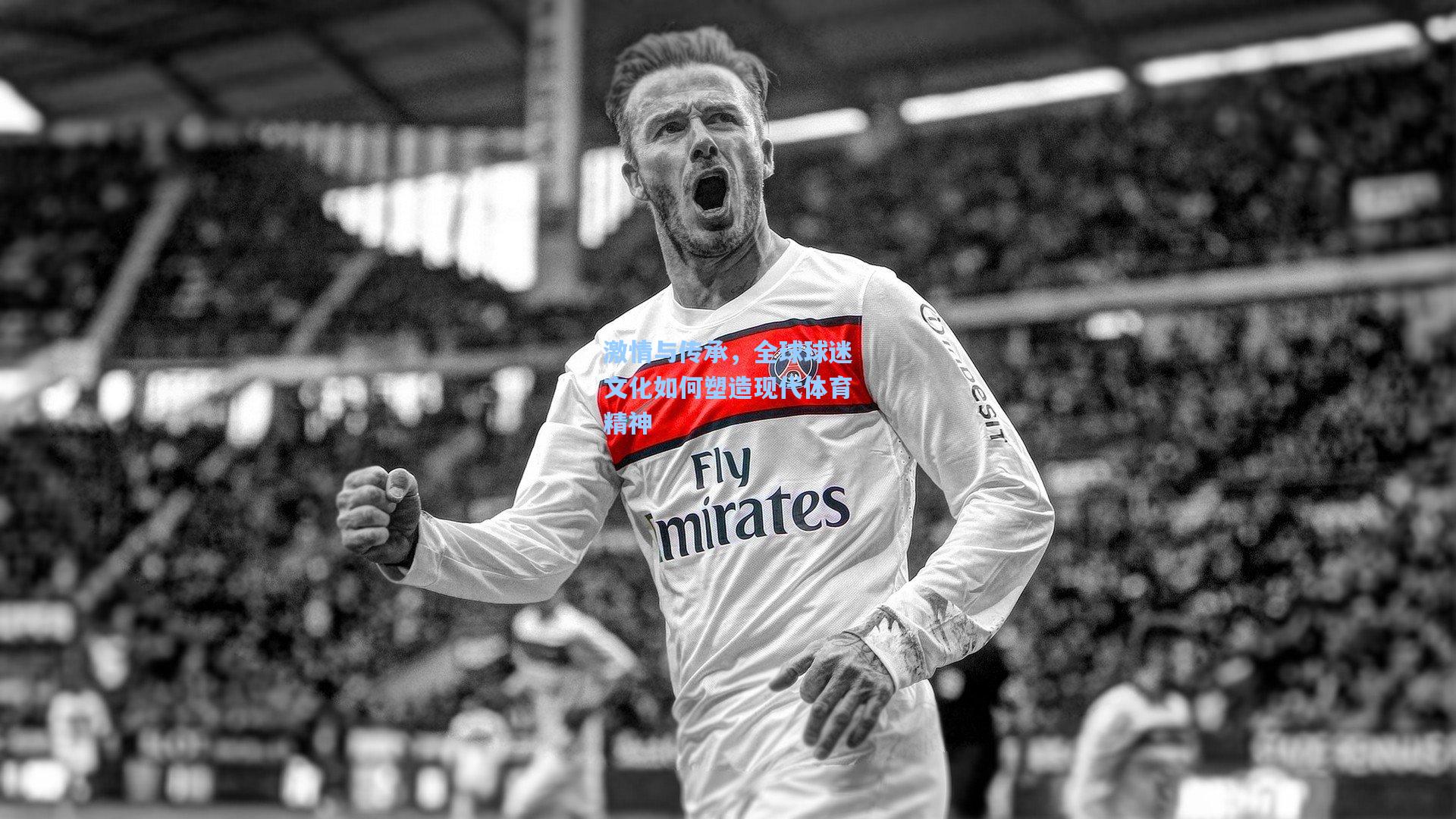 激情与传承，全球球迷文化如何塑造现代体育精神